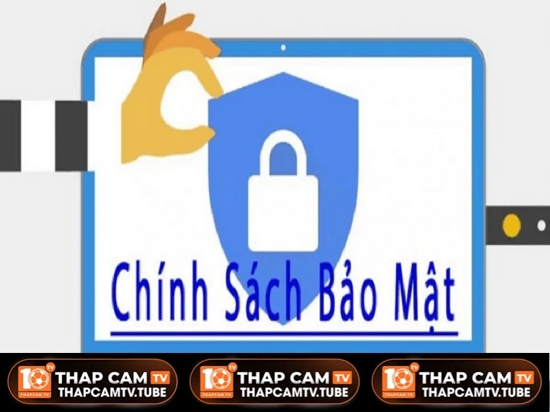 Giới thiệu khái quát về chính sách bảo mật tại ThapcamTV