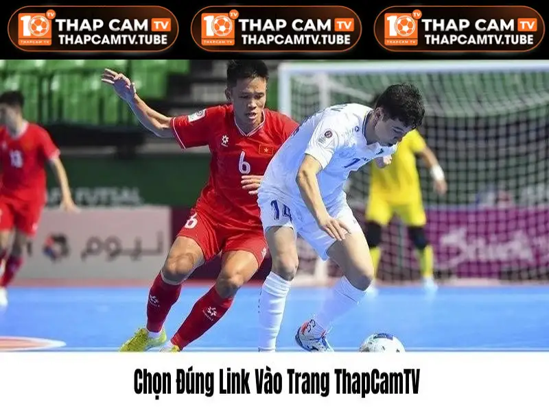 Lưu ý chọn đúng website chính thống của Thapcam