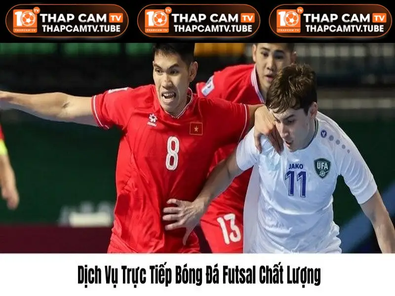 Kênh phát video sắc nét chất lượng cao